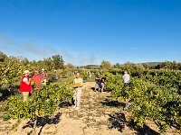 170 viele fleissige Haende